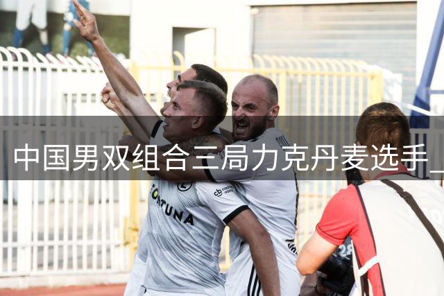 中国男双组合三局力克丹麦选手 挺进世锦赛八强
