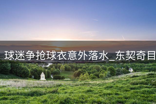 球迷争抢球衣意外落水 东契奇目睹全程惊呆