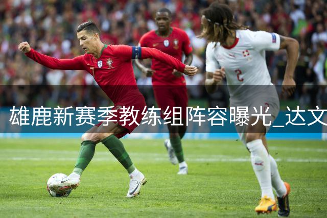 雄鹿新赛季教练组阵容曝光 达文-哈姆领衔詹金斯团队